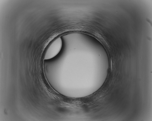 X0000102520483200808081033