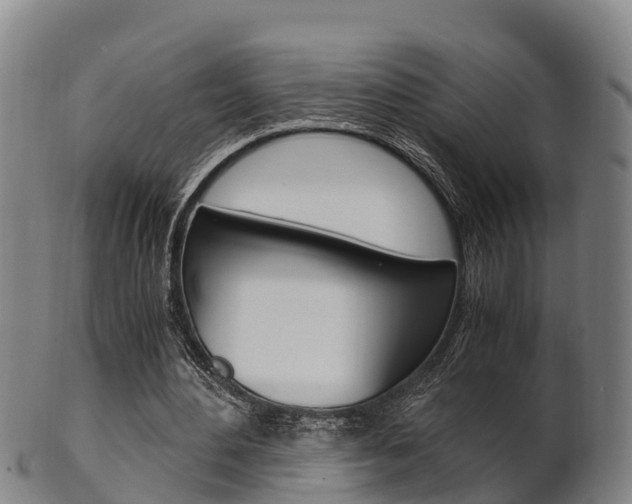 X0000102520484200808081033