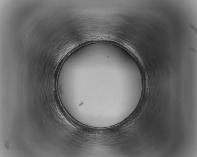 X0000102520485200808081033