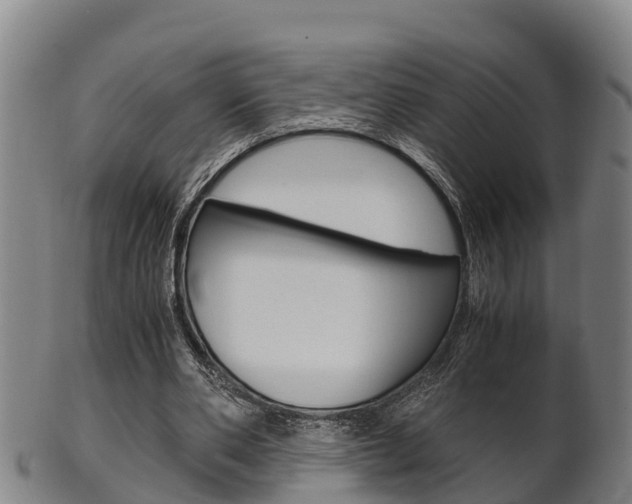 X0000102520486200808081033
