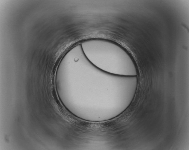X0000102520487200808081033