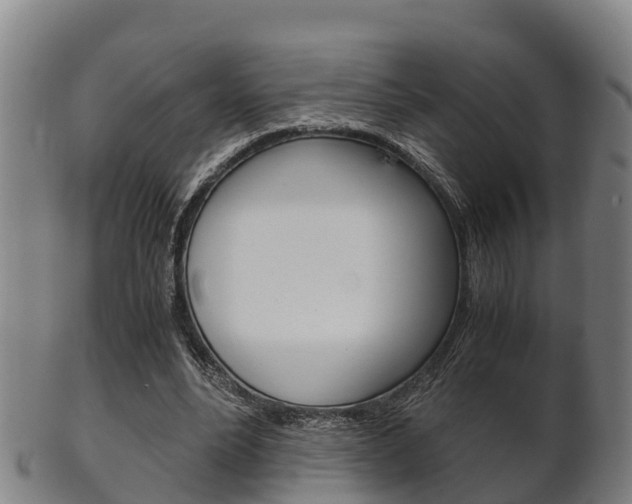 X0000102520488200808081033