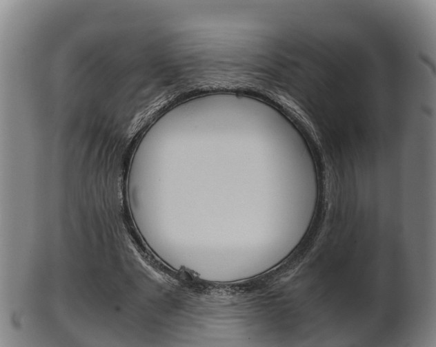 X0000102520489200808081033
