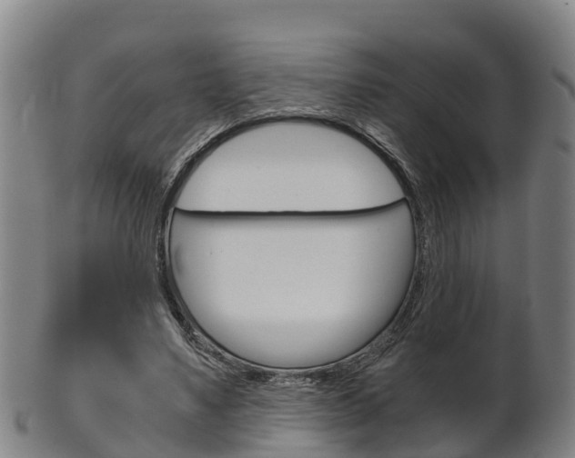 X0000102520491200808081033