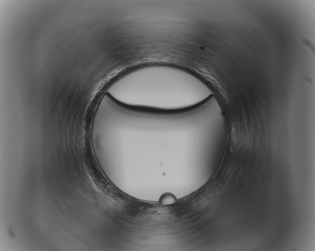 X0000102520492200808081033