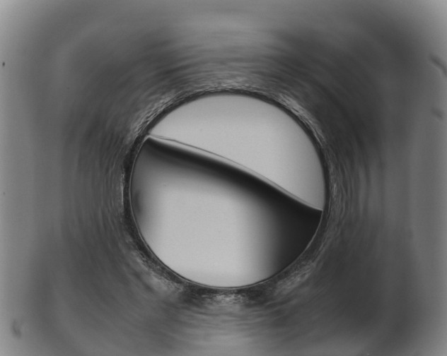 X0000102520493200808081033