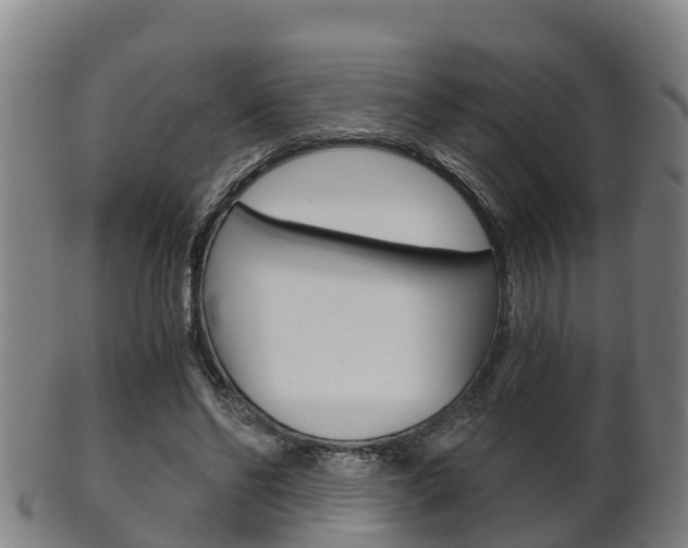 X0000102520494200808081033