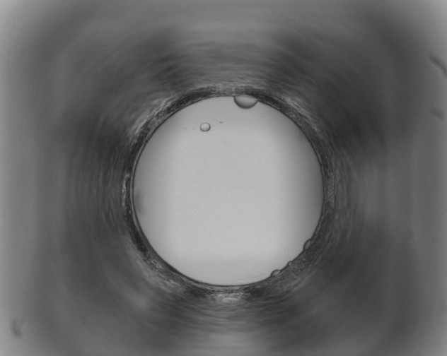 X0000102520495200808081033