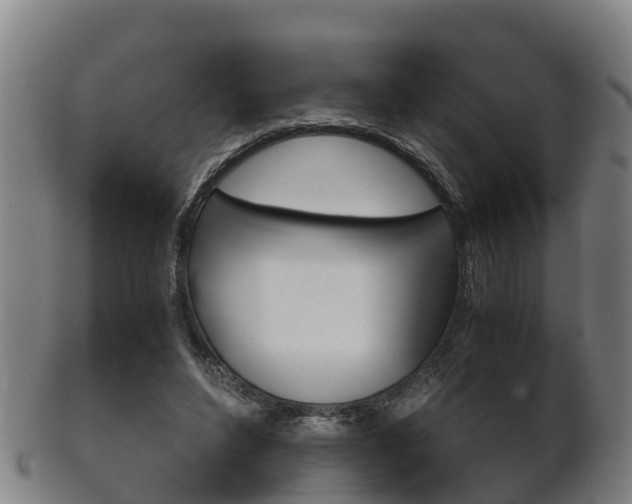 X0000102520496200808081033