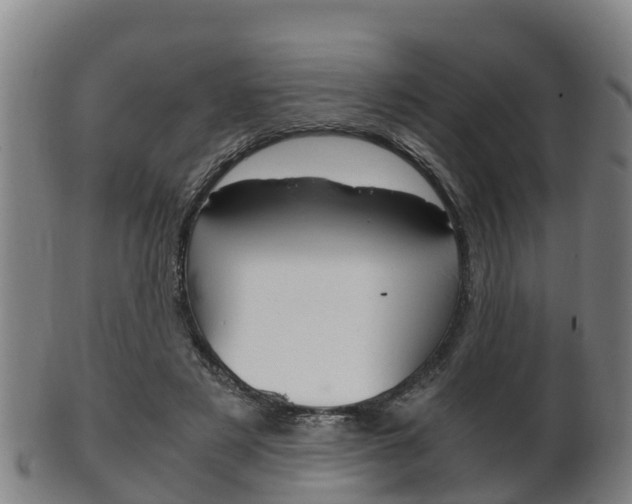 X0000102520497200808081033
