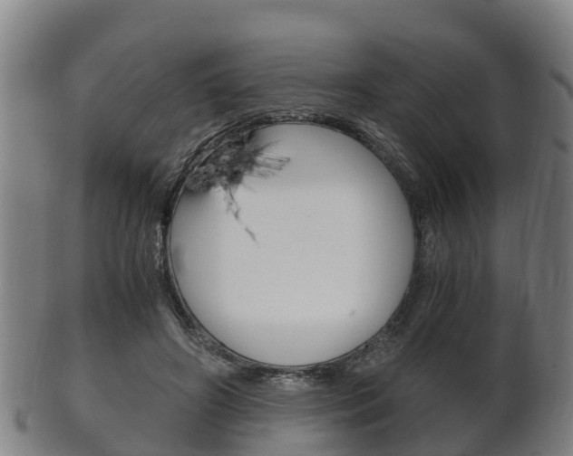 X0000102520498200808081033