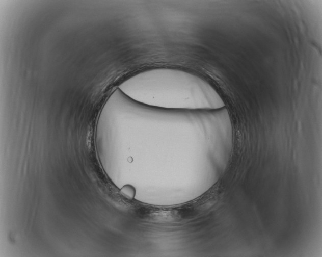 X0000102520499200808081033