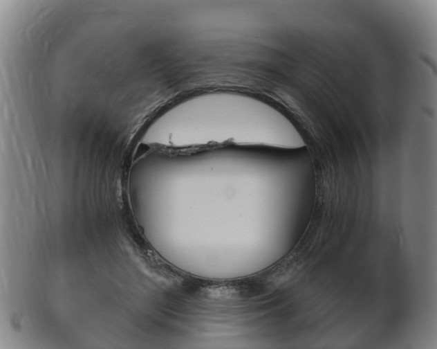 X0000102520500200808081033
