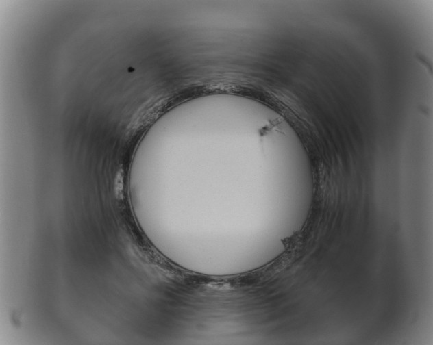 X0000102520502200808081033