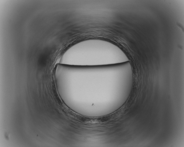 X0000102520503200808081033