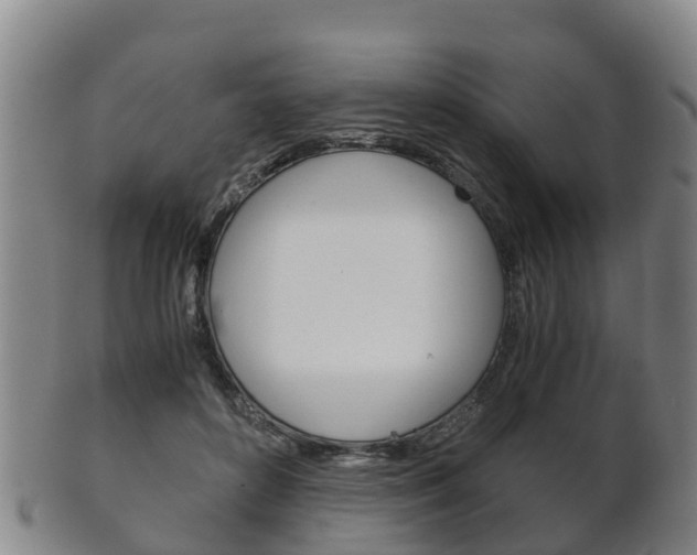 X0000102520504200808081033
