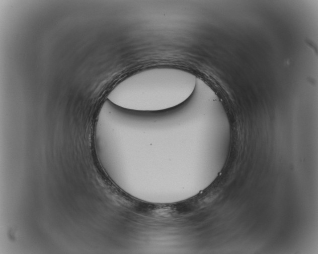 X0000102520505200808081033
