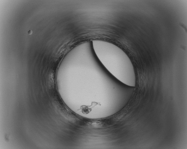 X0000102520506200808081033