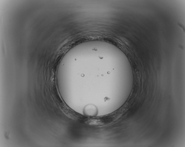 X0000102520507200808081033