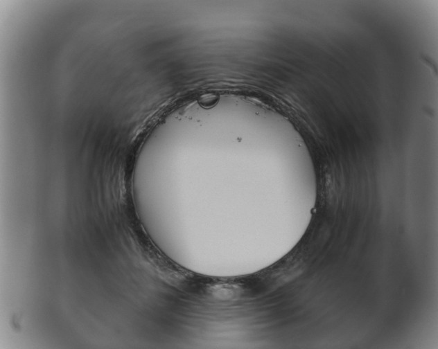 X0000102520508200808081033
