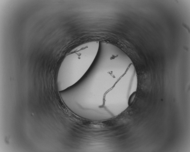 X0000102520510200808081033