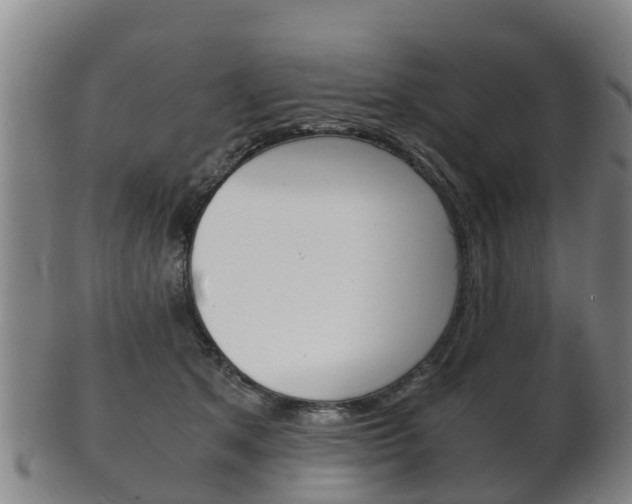 X0000102520513200808081033