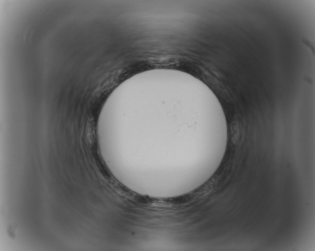 X0000102520515200808081033