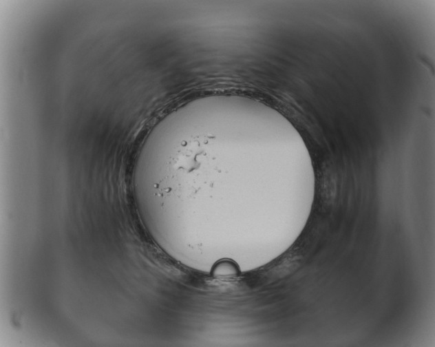 X0000102520516200808081033