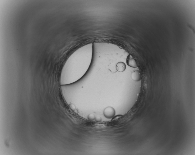 X0000102520519200808081033