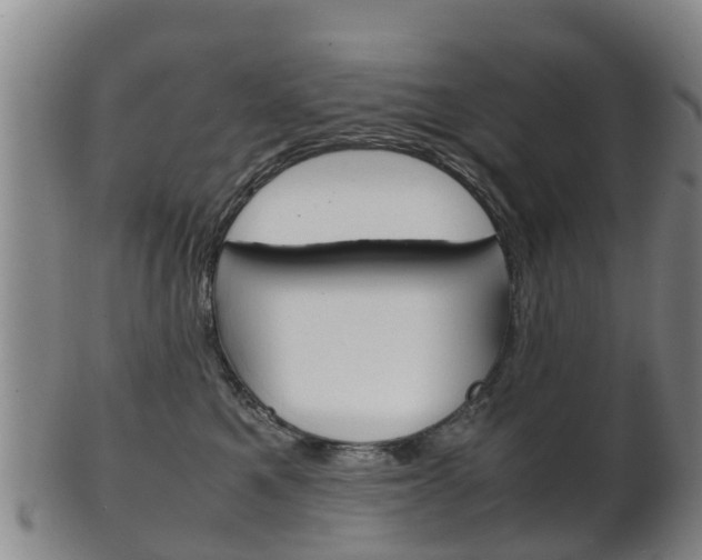 X0000102520521200808081033