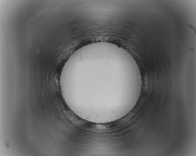 X0000102520522200808081033