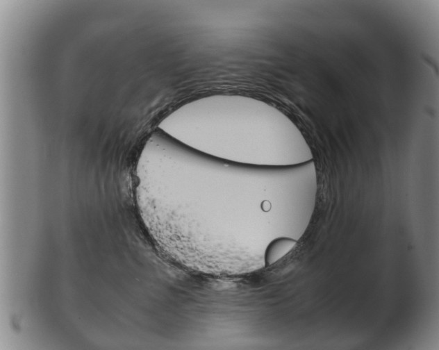X0000102520523200808081032