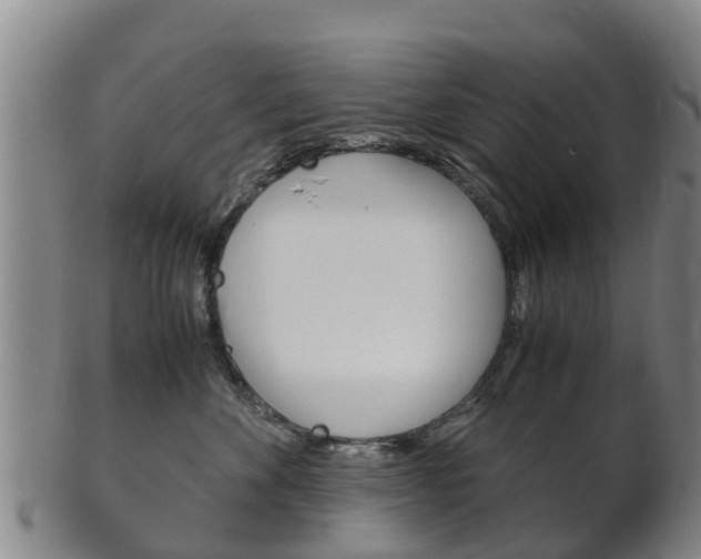 X0000102520524200808081032