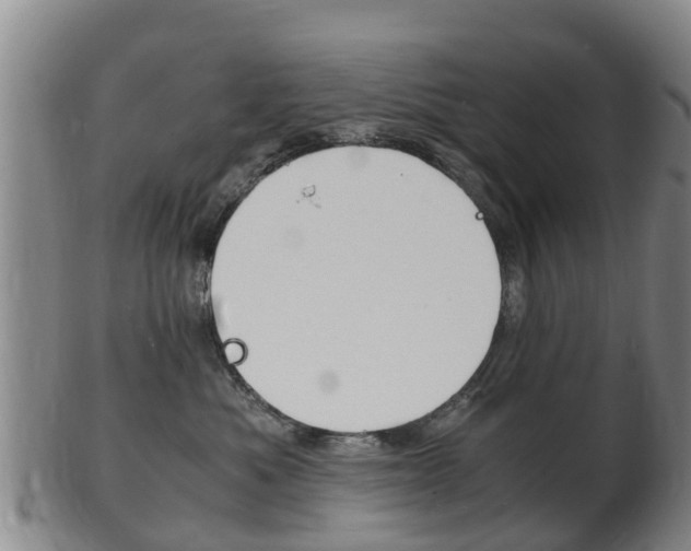X0000102520525200808081032