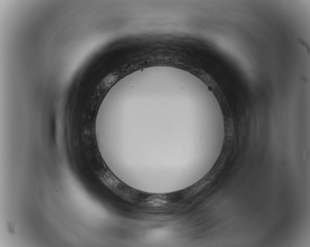 X0000102520526200808081032
