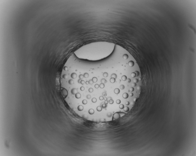 X0000102520527200808081032