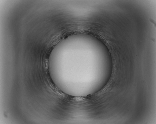 X0000102520528200808081032