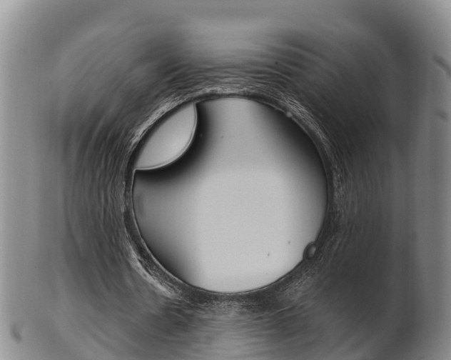 X0000102520530200808081032