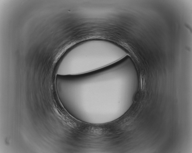 X0000102520531200808081032