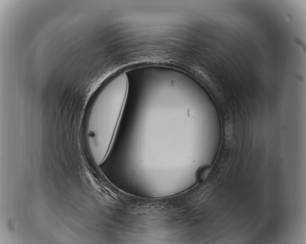 X0000102520532200808081032