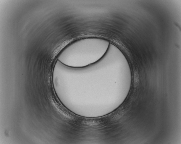 X0000102520533200808081032