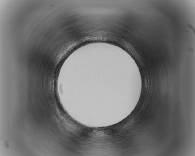 X0000102520534200808081032