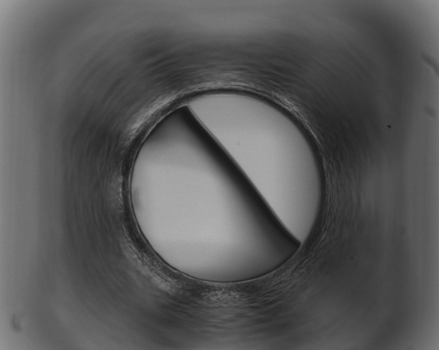 X0000102520535200808081032