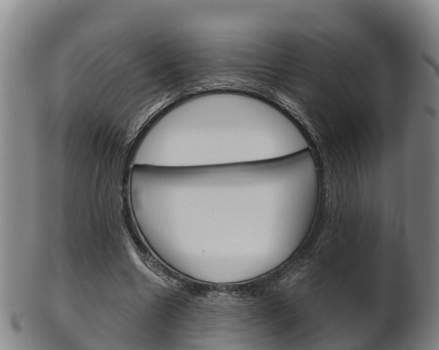 X0000102520538200808081032