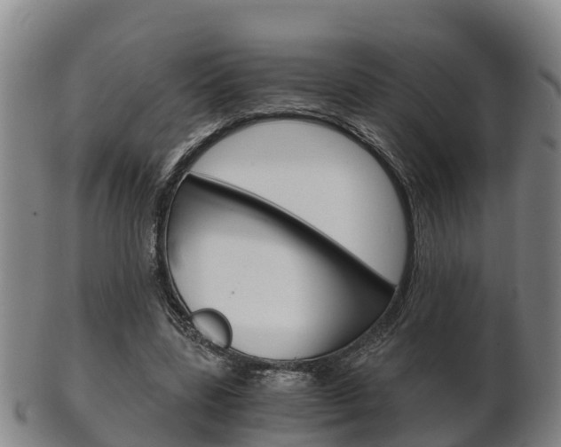 X0000102520539200808081032