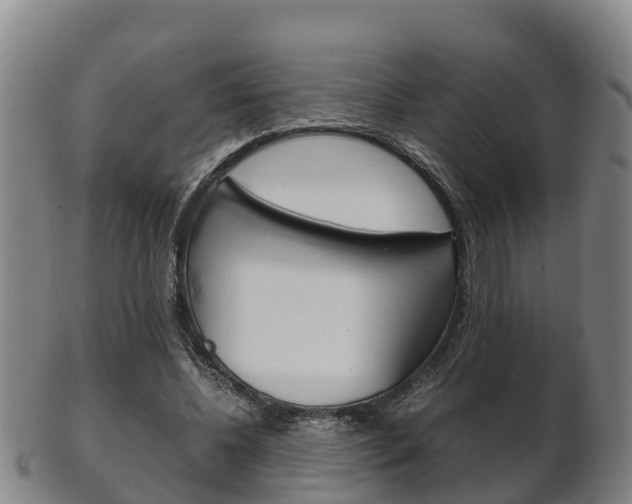 X0000102520540200808081032