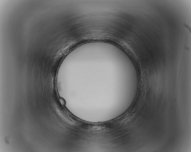 X0000102520542200808081032