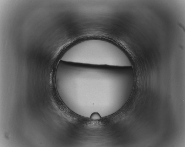 X0000102520543200808081032