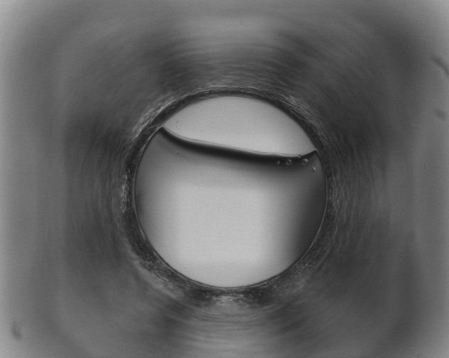 X0000102520544200808081032
