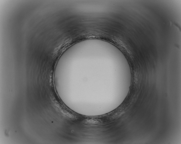 X0000102520545200808081032